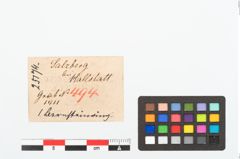 Etikett zu Bernsteinring (NHMW-PRAE-025174)